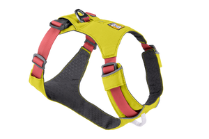 Smart Dog Harness w/ Auto Leash