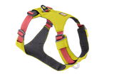 Smart Dog Harness w/ Auto Leash