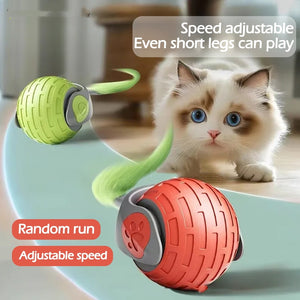 New Interactive Cat Toys Auto Electric Rolling Ball