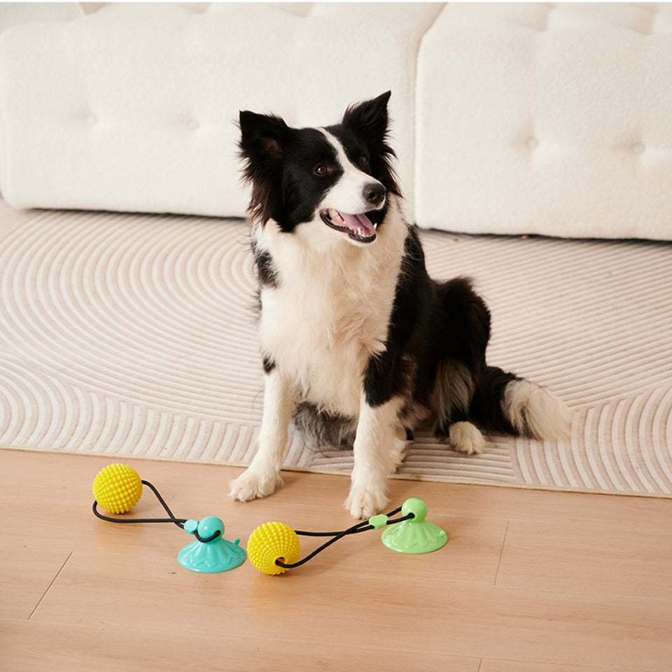 Corn Ball Chew Toys For  Interactive Suction