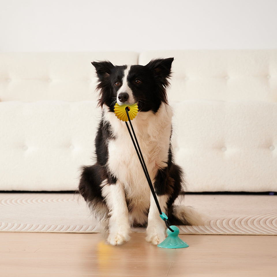 Corn Ball Chew Toys For  Interactive Suction