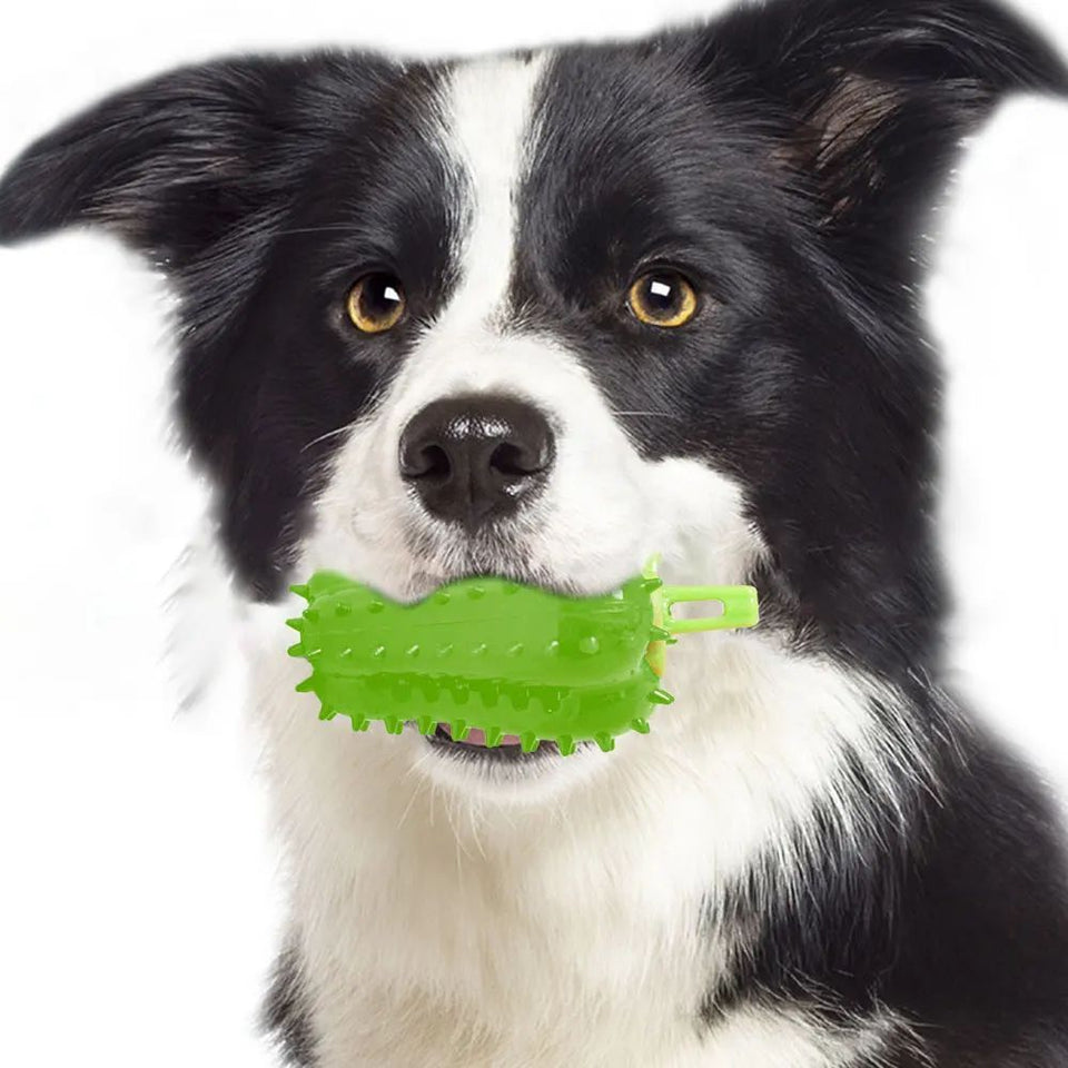 Interactive Dog Teething Chili Chewers