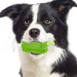 Interactive Dog Teething Chili Chewers