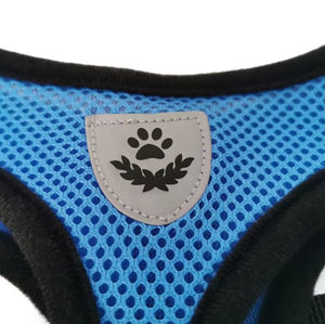 Dog Harness and Leash Set, Step-in Puppy Harness