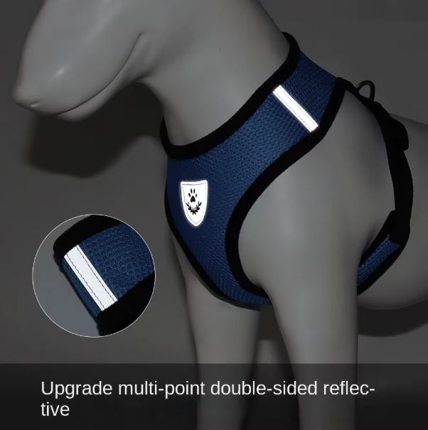 Dog Harness and Leash Set, Step-in Puppy Harness