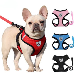 Dog Harness and Leash Set, Step-in Puppy Harness