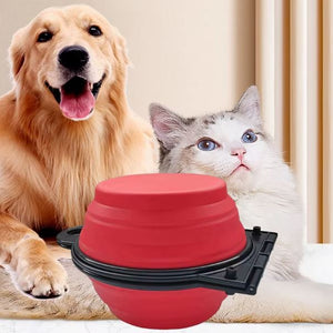 2 in 1 Collapsible Dog Bowls Water, Portable Travel Pet Food Feeding Cat Bowl