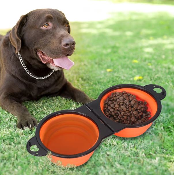 2 in 1 Collapsible Dog Bowls Water, Portable Travel Pet Food Feeding Cat Bowl