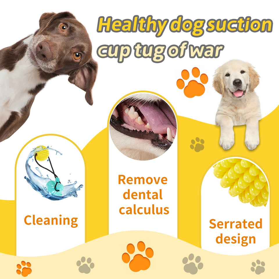 Corn Ball Chew Toys For  Interactive Suction