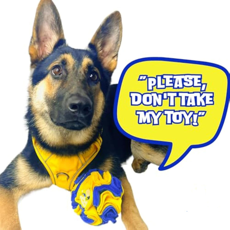 Interactive Toy Foraging Dog Puzzle Ball