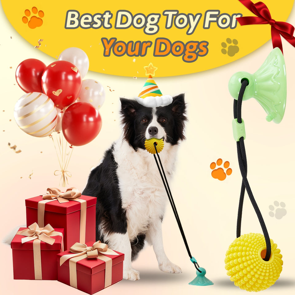 Corn Ball Chew Toys For  Interactive Suction