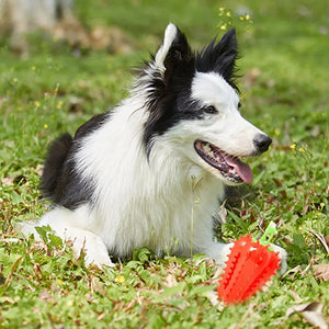 Interactive Dog Teething Chili Chewers