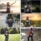 Pet Dog Carrier Portable Bag Mesh