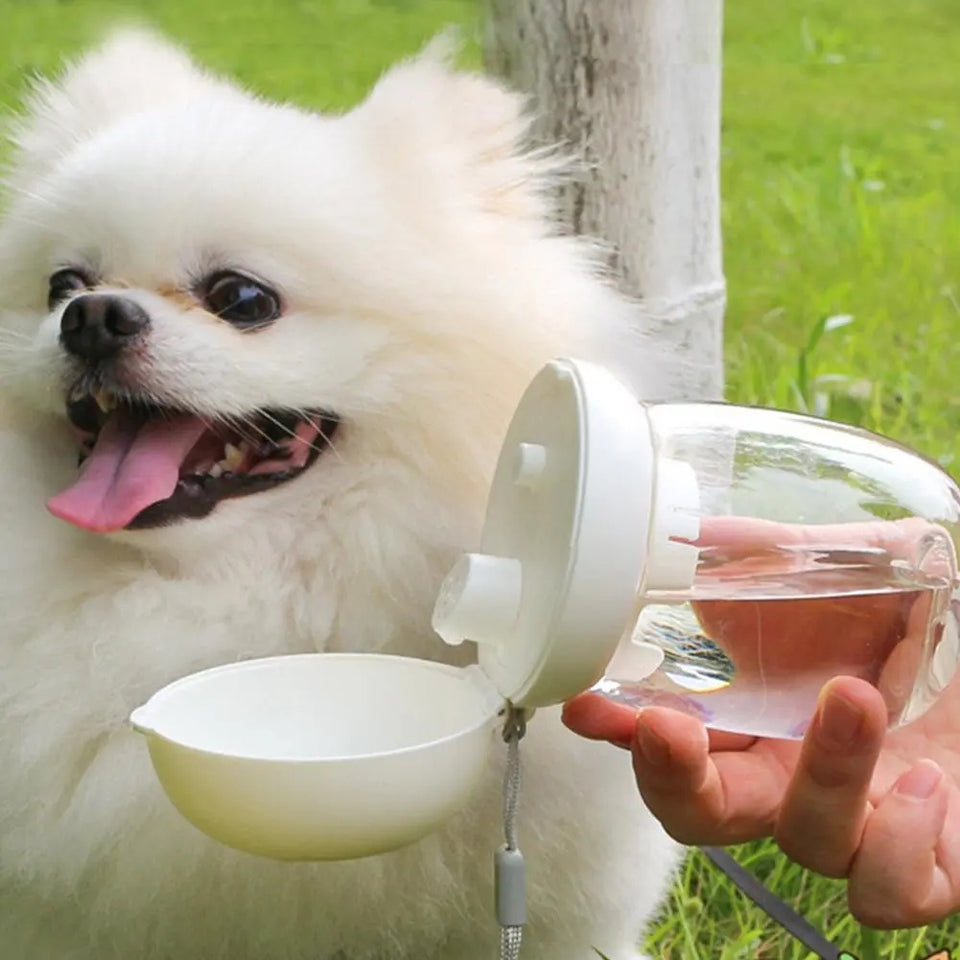 Portable Pet Water Bottle Travel Drinking Cup