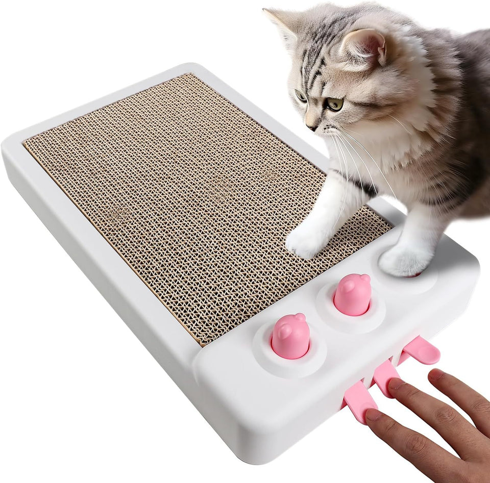 Cardboard Cat Scratcher