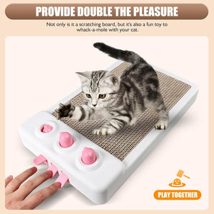 Cardboard Cat Scratcher